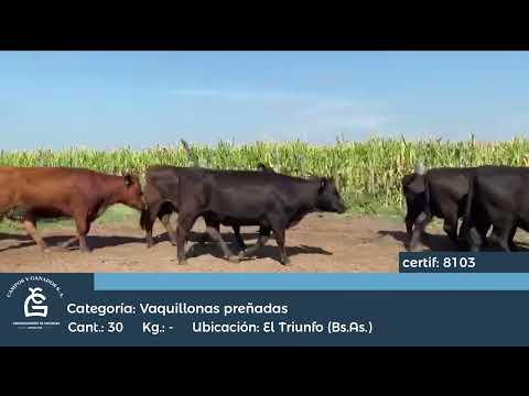 Lote Vq CGP - Lincoln, El Triunfo Bs As