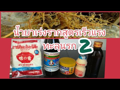 ธ อร์ค้อนปีเตอร์ ยาเพิ่มความแรง