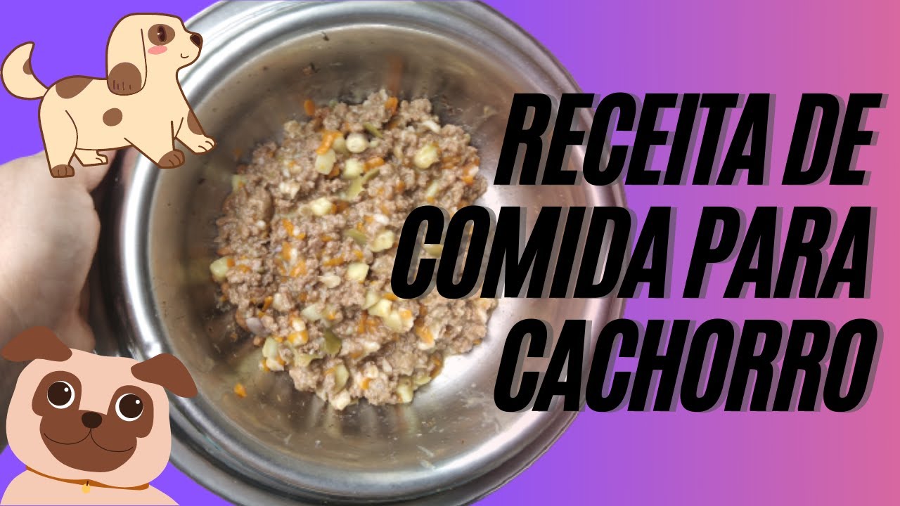 Receita de Comida Para Cachorro: Serve para Filhote e Idoso