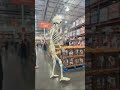 Costco Halloween Decorations Are Next Level Ai Viral Blowthisup Fyp Skeleton Halloween Costco
