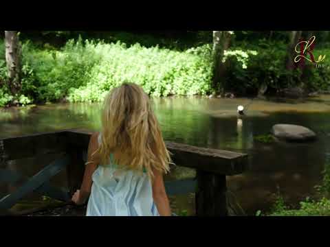 Rezydencja całosc2023 sierpi 15 veg