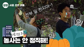 �ͳ��� �η��ٰ�? �������� �� õ����