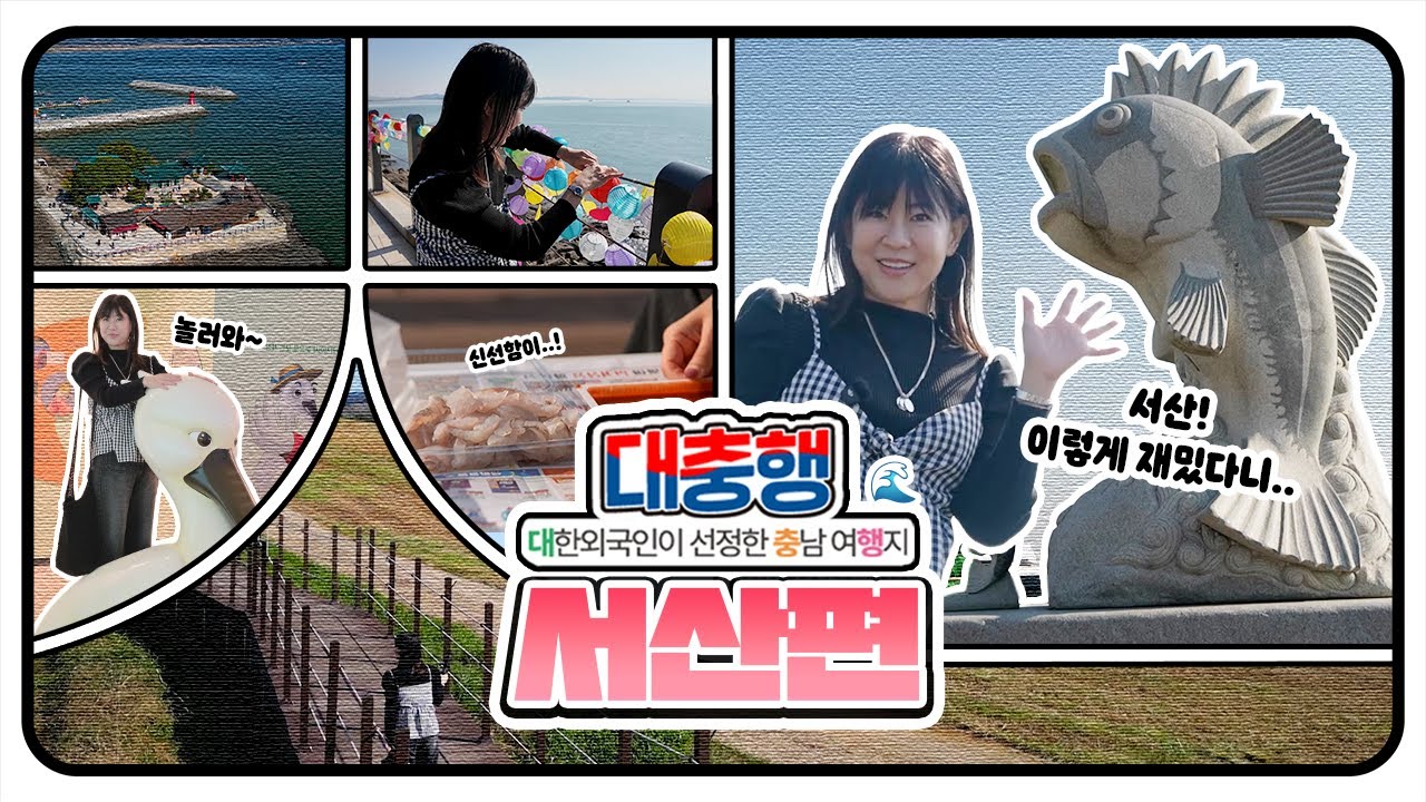 🦬🌊 충남 서산에 이런 자연이?! 초원&middot;바다&middot;철새까지 하루에 다 본 힐링 여행✨ㅣ대충행 17화