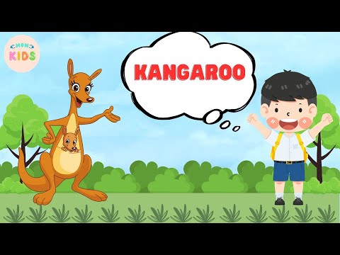 Kangaroo Facts For Kids 😄 Learn All About Kangaroos | MON Kids