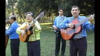 Preview de Guavira Poty