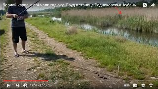 Рыбалка в краснодарском крае курганинском районе