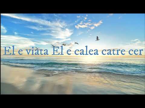 Chiar si greul e frumos - negativ - Familia Mihai