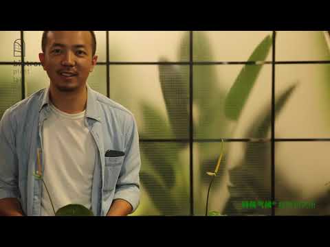 觀音蓮開花授粉