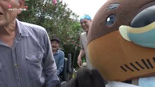 2026/7/21放送・知ったかぶりカイツブリにゅーす