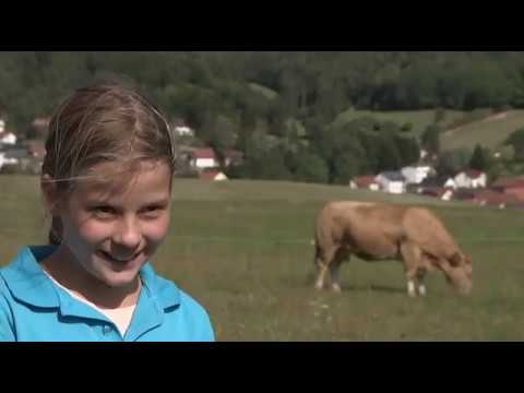 Unter Abtsteinach • Tolles Dorf im Odenwald • Kreis Bergstrasse • Südhessen  5ouq9