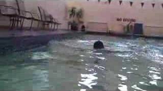 Wagner's "DAS RHEINGOLD"