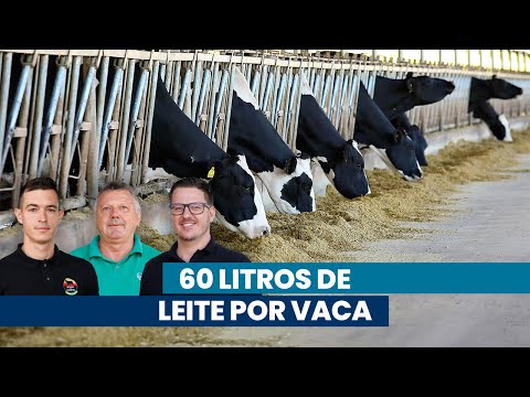 Manejo especializado para crescer na produção de leite | Noticiário Tortuga