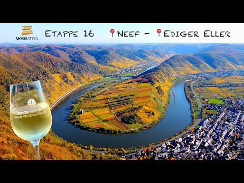 Moselsteig 16. Etappe: Neef - Ediger-Eller  |  Moselschleife 🇩🇪