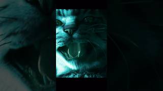 Download lagu The Birth of Catwoman #movie mp3