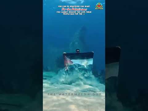 The love for 🇵🇸❤️ #ocean 🇱🇧🇵🇸🇧🇩🇵🇸🇵🇰🇵🇸❤️#justiceforpalestine #gaza #freepalestine #love #beach