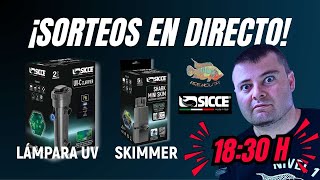 ¡ Sorteo Sicce en directo! más barra libre