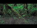 VIDNA OBMANA "By abundant rain"