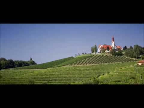 Ansambel Zasavci  - Moje dvorišče