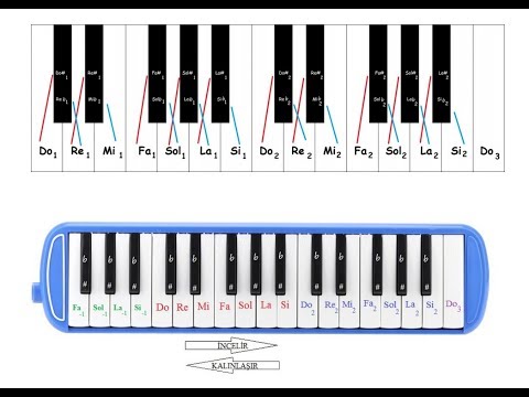 download lagu mp3 mp4 Dostluk Notalar Melodika, download lagu Dostluk Notalar Melodika gratis, unduh video klip Dostluk Notalar Melodika