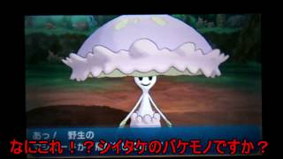 ゆっくり実況ポケモンにわかが行くポケモンサンムーンパート１１