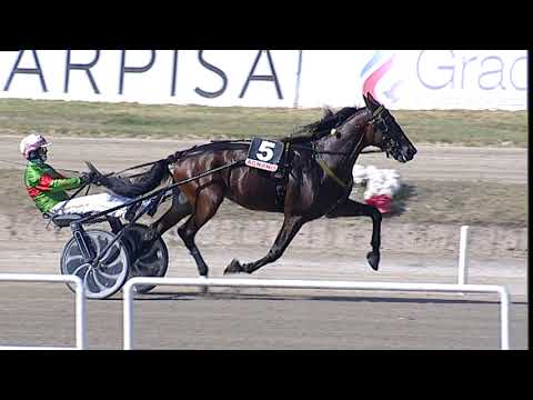 Napoli Trotto 15/09/2023 - 2ª corsa