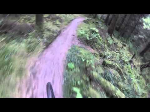 Marin GoPro