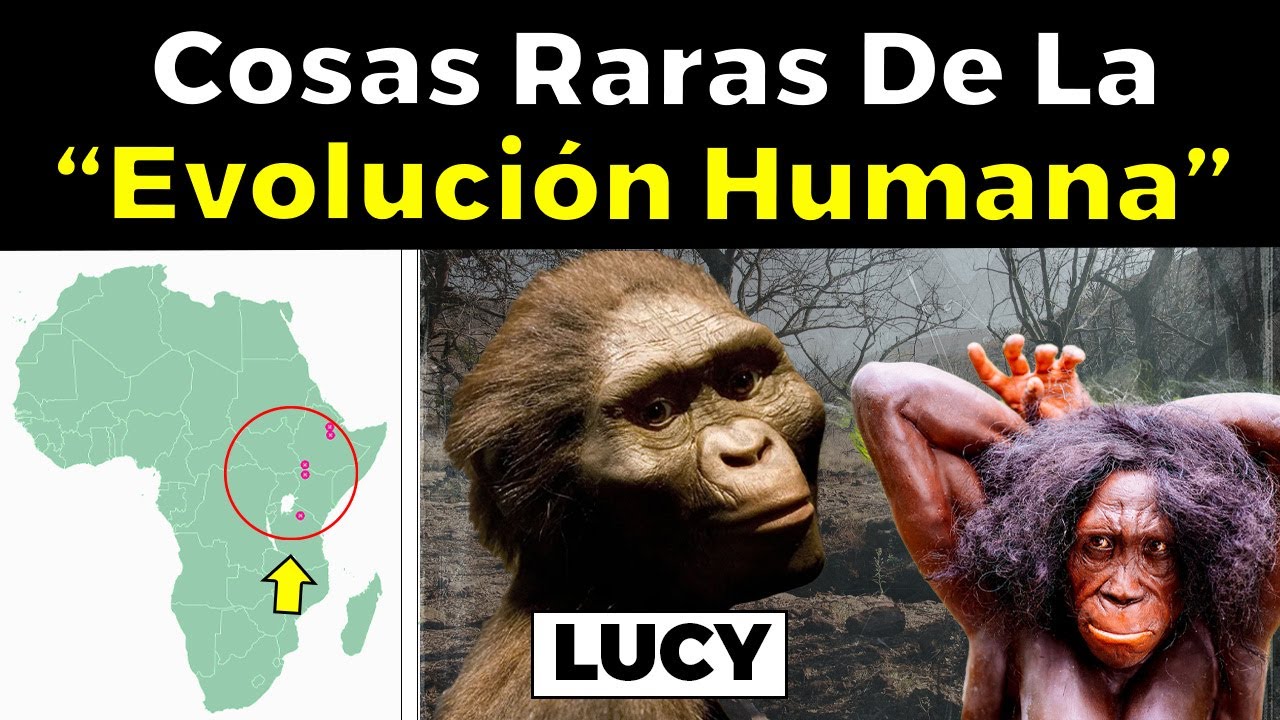 La extraña historia de los Australopithecus y "Lucy"