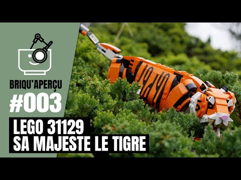 Vidéo LEGO Creator 31129 : Sa Majesté le Tigre