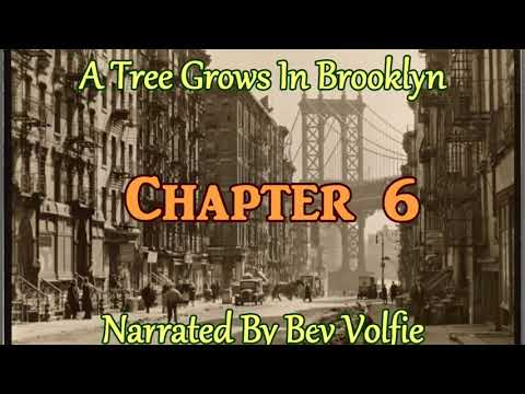 A Tree Grows In Brooklyn Ch 6