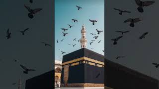 Download lagu Nazar men 🕋🫶📿 beautiful naatshariif 🫶💚 Islamic Short video mp3