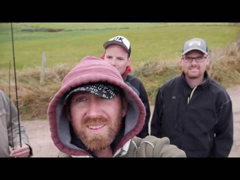 Wir wollen 50 Zander fangen