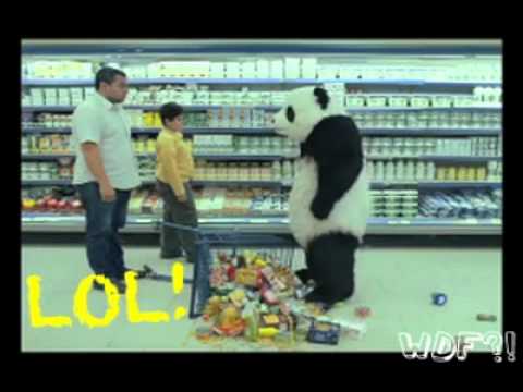 Episodio 39 de What da faq - Oso panda en el super mercado?