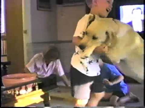 Henry Gross - Shannon (Mills Family)