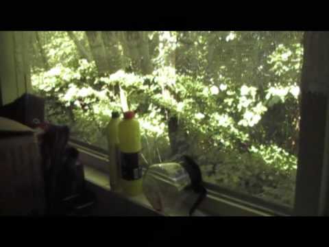 Vernieling Sportpark SVC'08