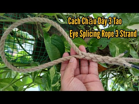 Chầu Dây Thừng 3 Tao - Eye Splicing Rope 3 Strand #splicing