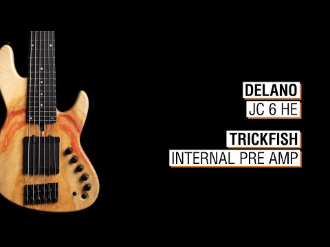 Delano JC 6 HE + Trickfish Internal Pre Amp (IPA) - Elwood L6a-24 33"