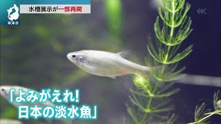 ７月4日 【びわ湖放送ニュース】