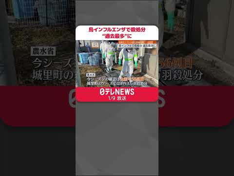 鳥インフルエンザについて詳しく解説