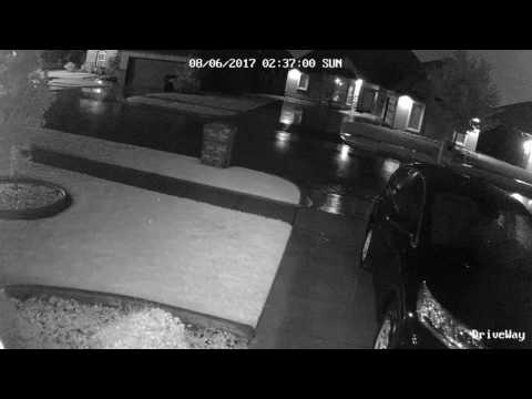 Stealth Security Footage 08/06/2017 02:37 AM