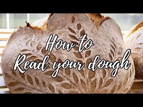 Visual cues to read your sourdough during bulk fermentation | How to know when your dough is ready!