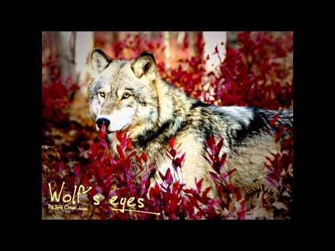 Jordi Ortolá Ankum - Wolf's eyes [Chillout music]