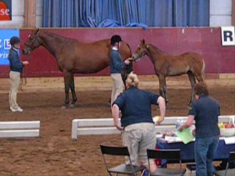 Lindy Hop f 2007 e: Feliciano-Spanggaards Fellini