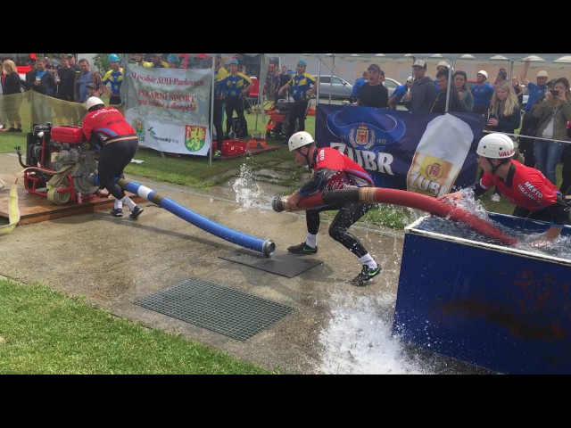 Valšovice (Hranice VI), 10. 06. 2017