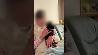 義母にパピーを合わせたら。。、 #子犬 #茶々 #犬のいる暮らし #チワプー