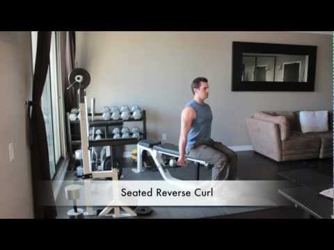 Seated Reverse Dumbbell Curl myworkouts.io