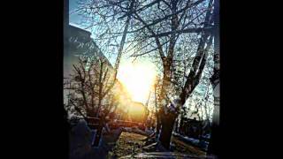 Gorillaz - The Fall - The Snake in Dallas