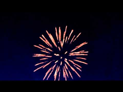 4 0703 Brocade crown with green strobe pistil