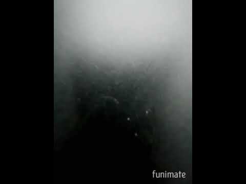 Ke70 Palestine  ( AYIEN RAHMAN)