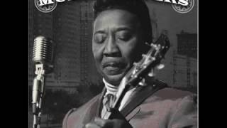 Muddy Waters   Catfish Blues