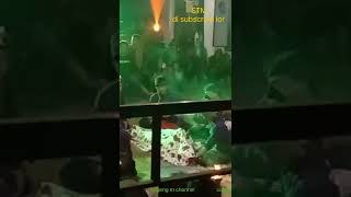 Download lagu nawangseh pulang minta nyirorokidul#bajang mp3 Download lagu nawangseh pulang minta nyirorokidul#bajang mp3